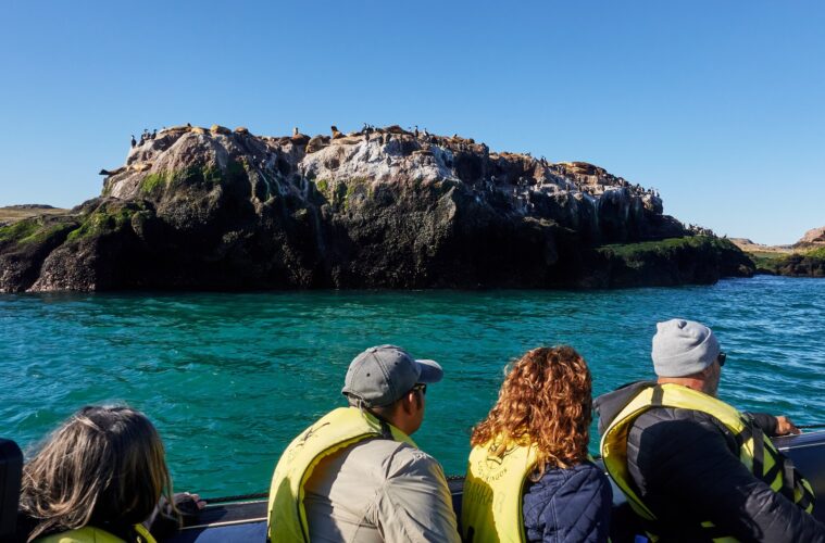 Naturaleza pródiga, biodiversidad e historia: hay más de un motivo para visitar Puerto Deseado