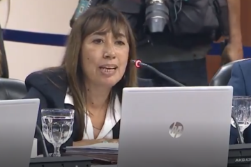 Roxana Reyes: «Vidal es más kirchnerismo representa el miedo, la patota y los negocios con amigos»